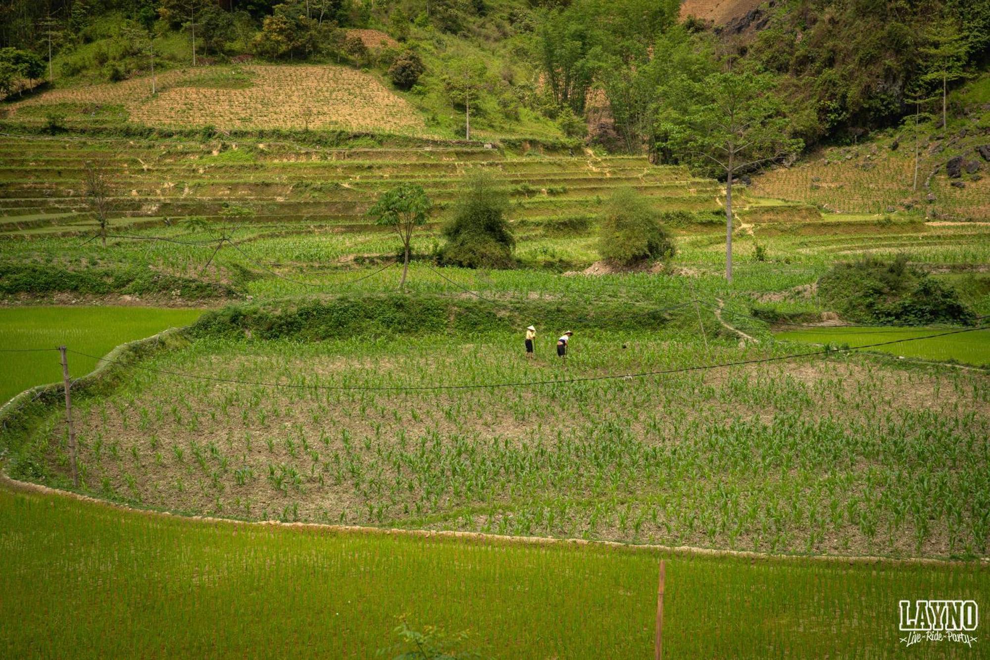 Quiri Hostel Ha Giang Lang Lap Exterior foto